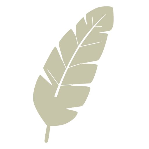 logo beige auszeit