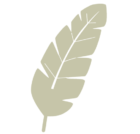 logo beige auszeit